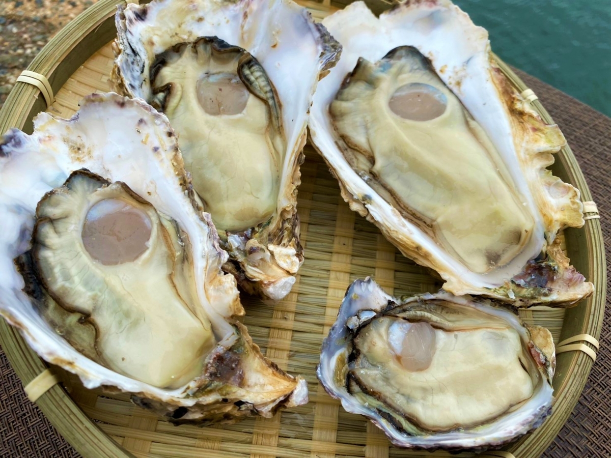一斗缶牡蠣売ります 殻付き牡蠣 一斗缶【送料無料】｜能登スタイルストア